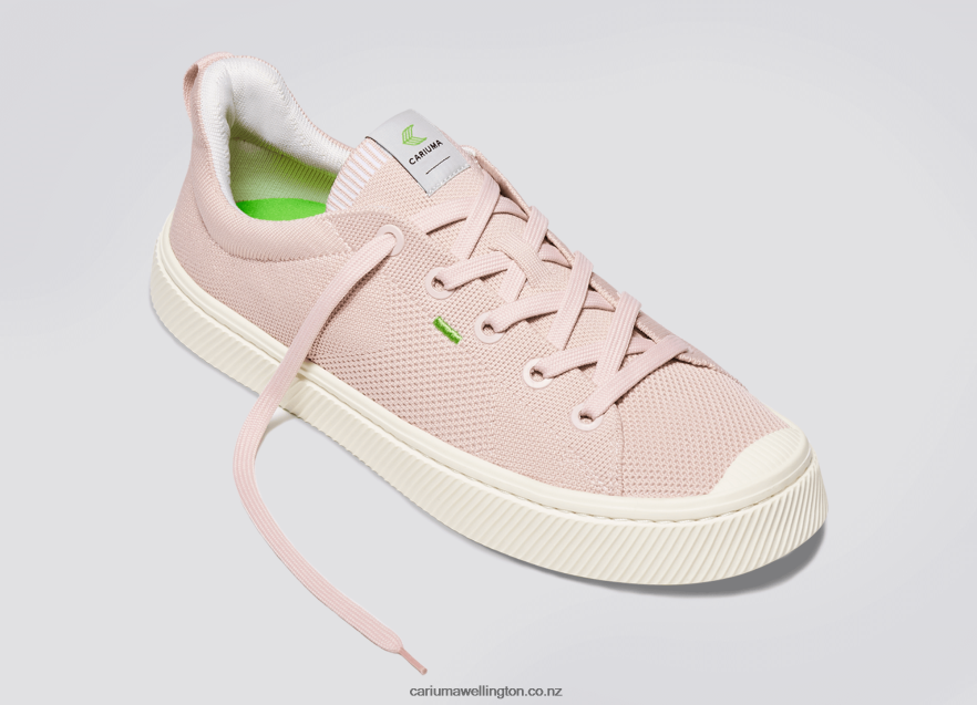 Men Cariuma Rose Knit TZ68P2179