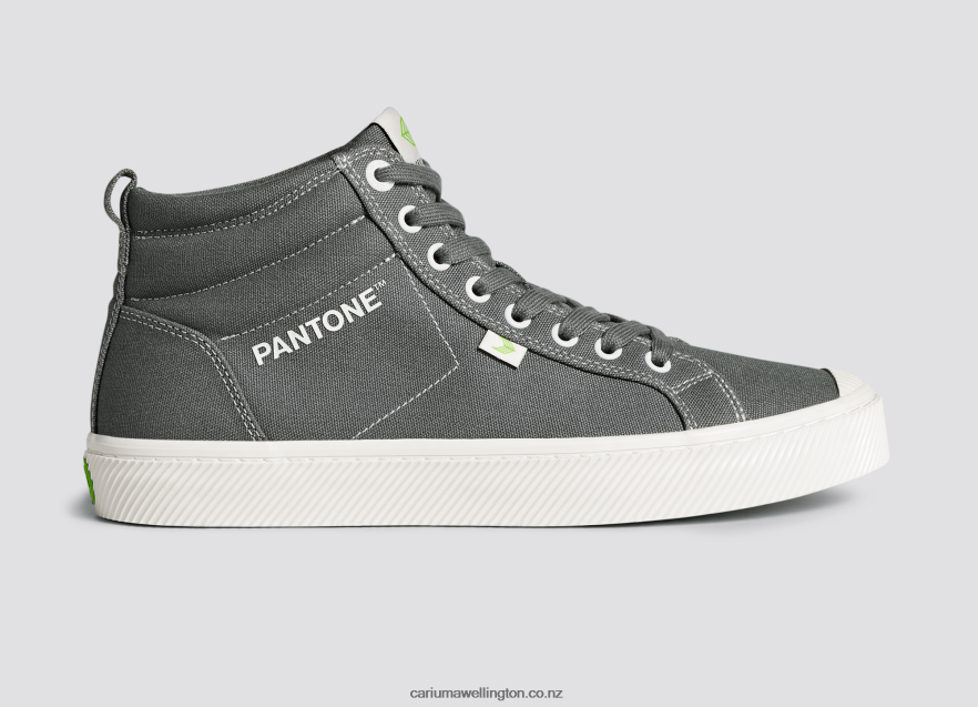 Men Cariuma Pantone Gargoyle Grey Canvas TZ68P265