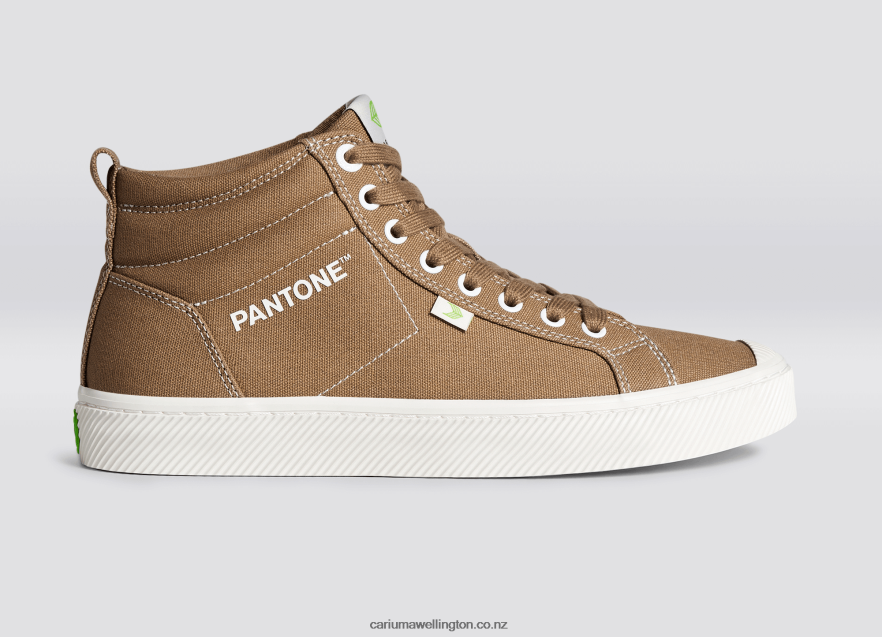 Men Cariuma Pantone Lion Canvas TZ68P264