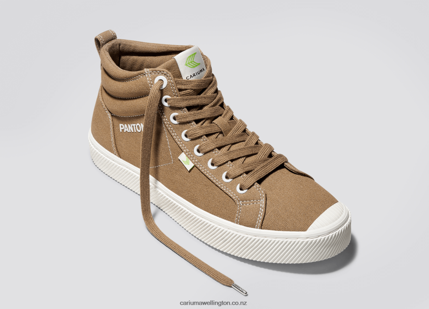 Men Cariuma Pantone Lion Canvas TZ68P264