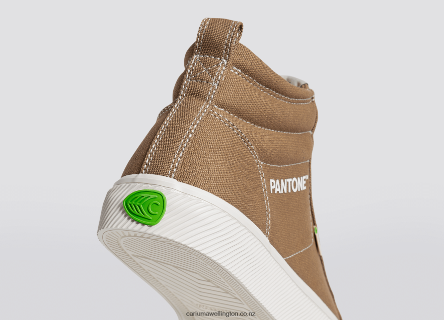 Men Cariuma Pantone Lion Canvas TZ68P264
