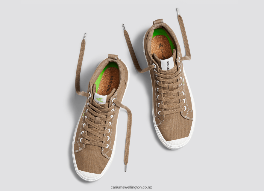 Men Cariuma Pantone Lion Canvas TZ68P264