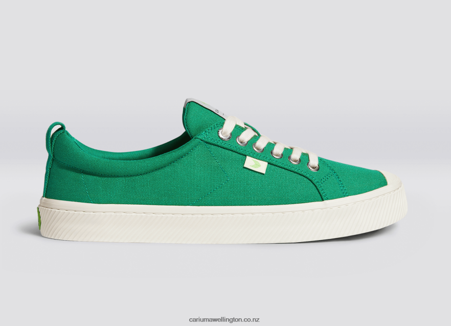 Men Cariuma Green Canvas TZ68P24