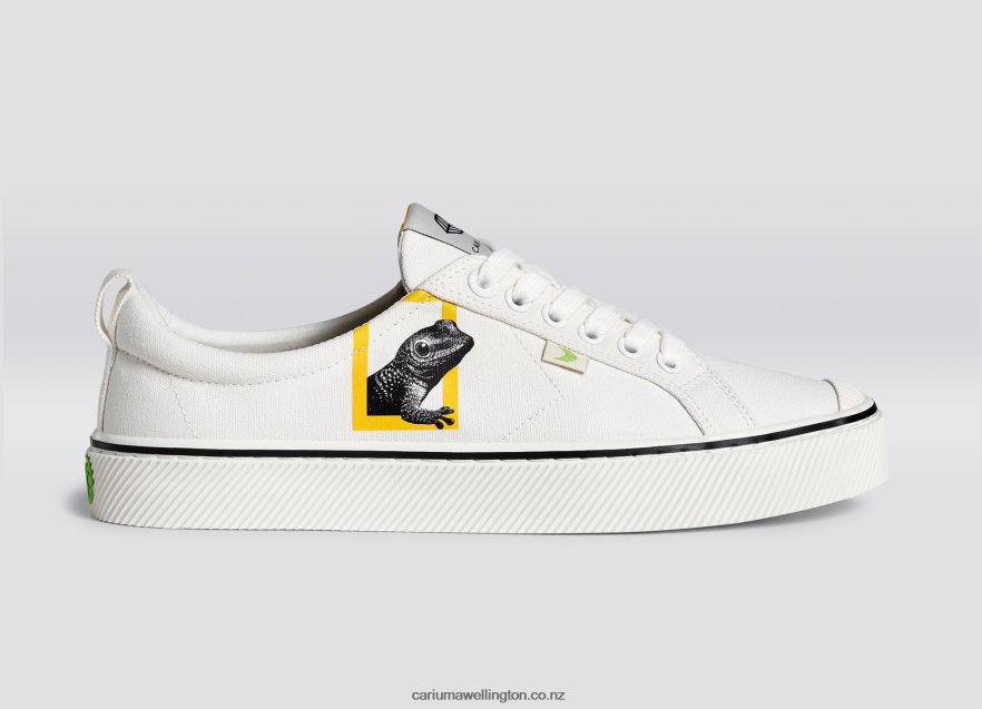 Men Cariuma National Geographic Gecko Off-White Canvas TZ68P285