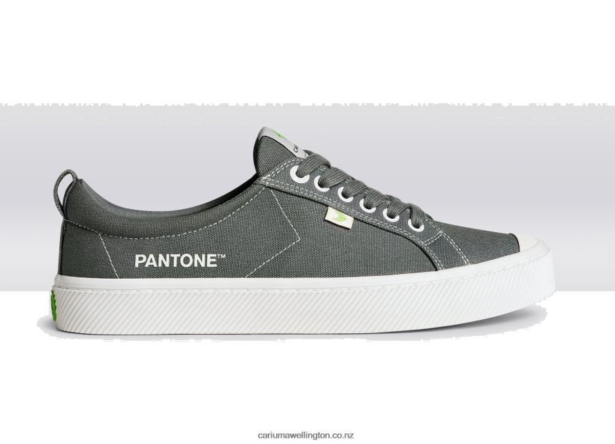 Men Cariuma Pantone Gargoyle Grey Canvas TZ68P240