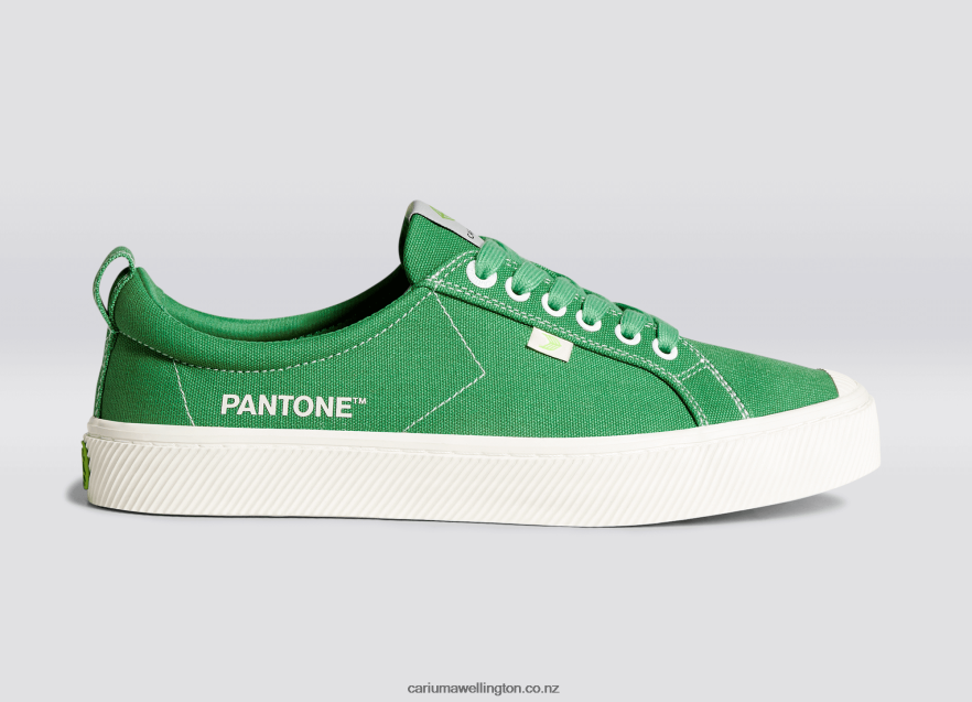Men Cariuma Pantone Greenbriar Canvas TZ68P220