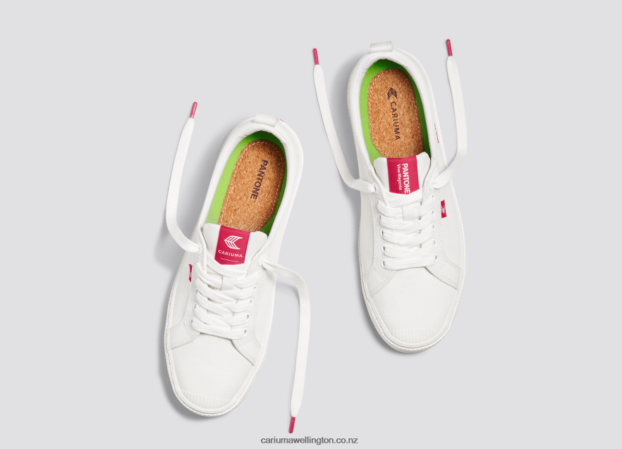 Men Cariuma Pantone Off-White/Viva Magenta Canvas TZ68P239