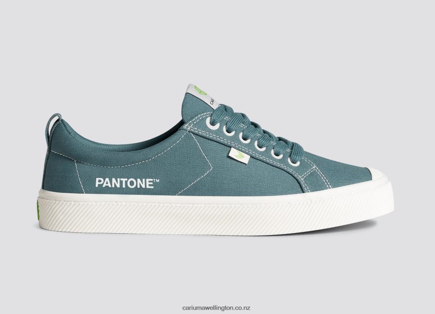 Men Cariuma Pantone Tapestry Canvas TZ68P219