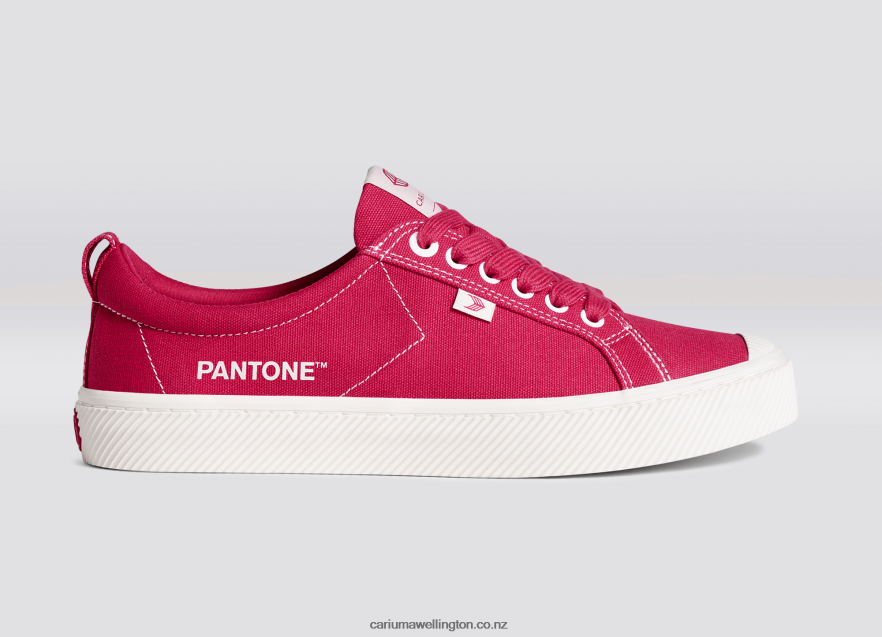 Men Cariuma Pantone Viva Magenta/Off-White Canvas TZ68P238