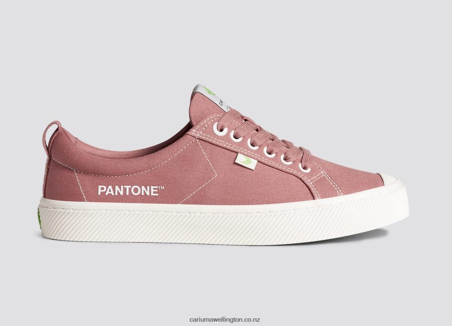 Men Cariuma Pantone Withered Rose Canvas TZ68P218