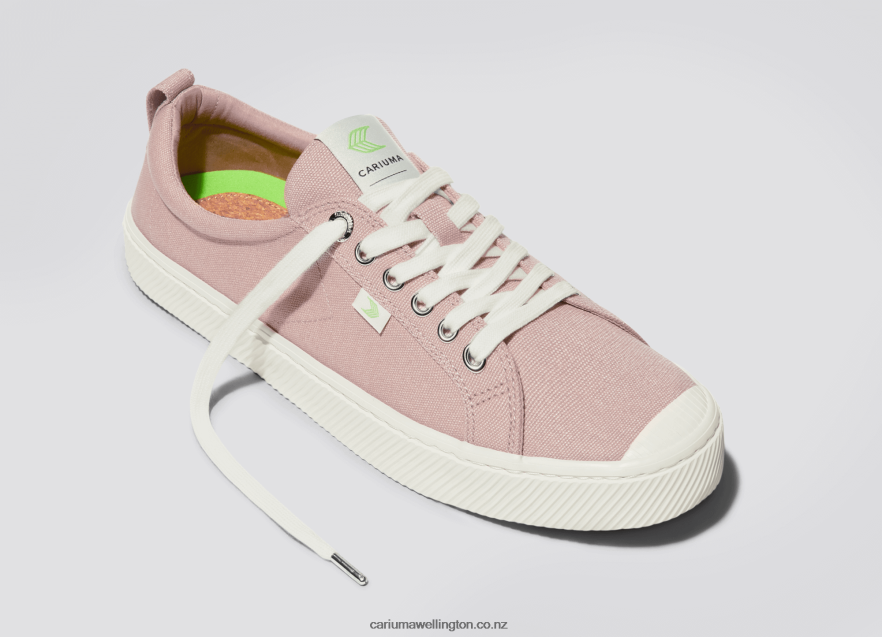 Men Cariuma Rose Canvas TZ68P25