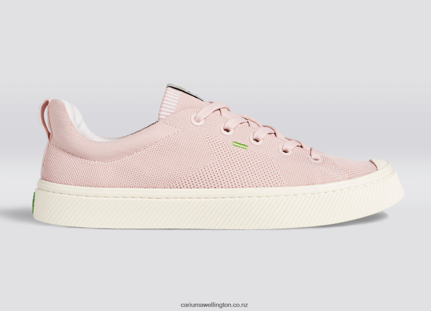 Women Cariuma Rose Knit TZ68P2392