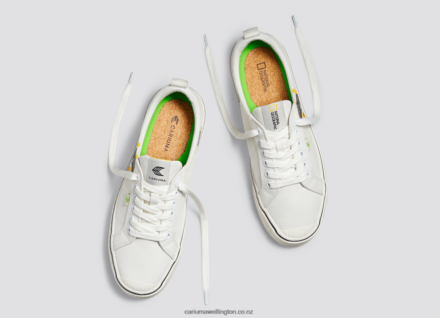 Women Cariuma National Geographic Gecko Off-White Canvas TZ68P2302