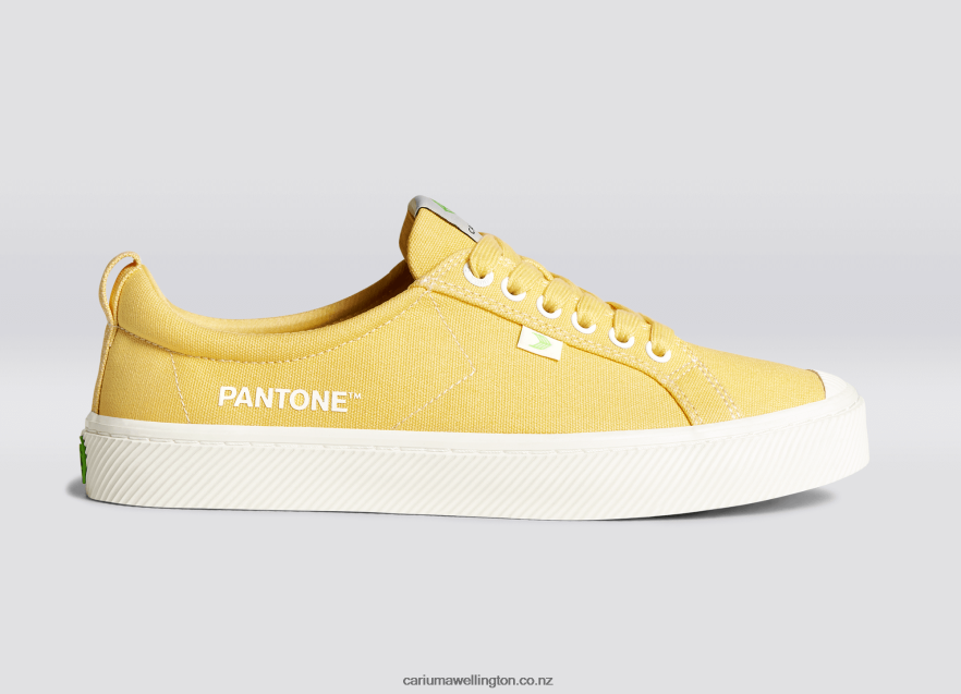 Women Cariuma Pantone Cornsilk Canvas TZ68P2268