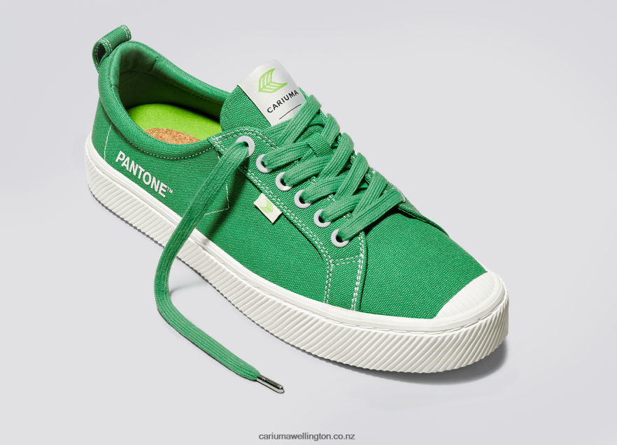Women Cariuma Pantone Greenbriar Canvas TZ68P2231
