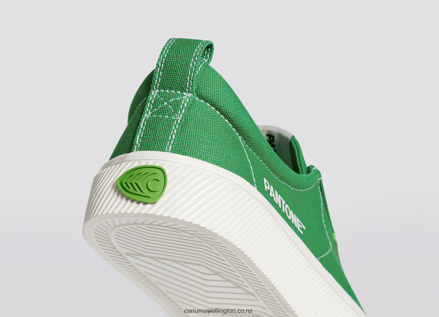 Women Cariuma Pantone Greenbriar Canvas TZ68P2231