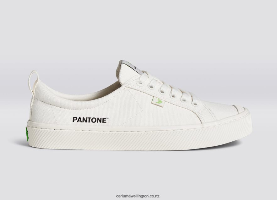 Women Cariuma Pantone Snow White Canvas TZ68P2227